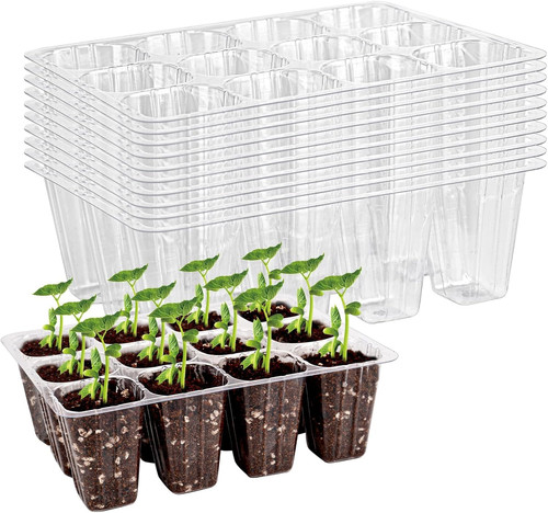 120 cells seedling - 120, plug