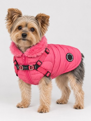 Puppia mountaneer padded - mountaneer,