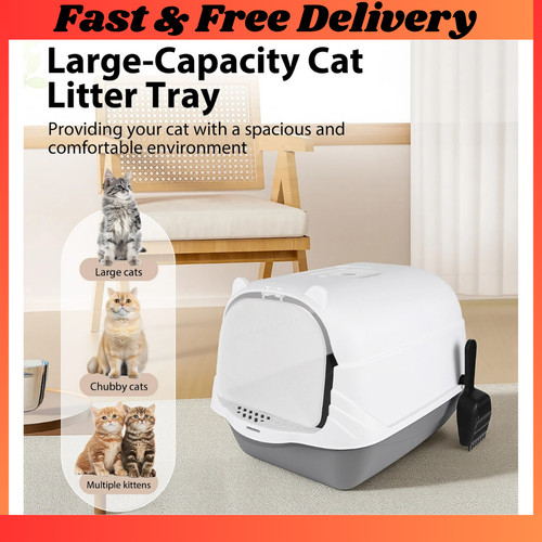 Large hooded cat - hooded, litter