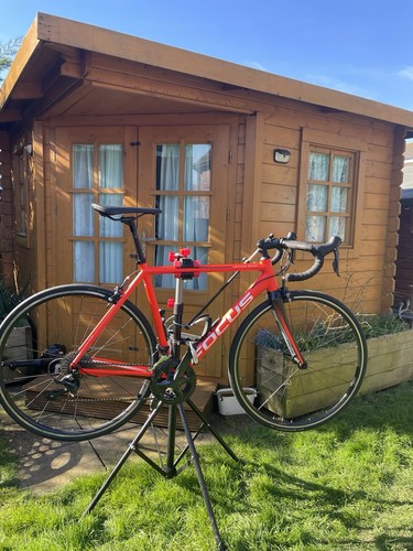 Focus izalco race - focus,