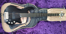 Cort Curbow Tanglewood Luthite