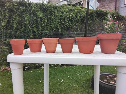 Terracotta clay plant - 6,