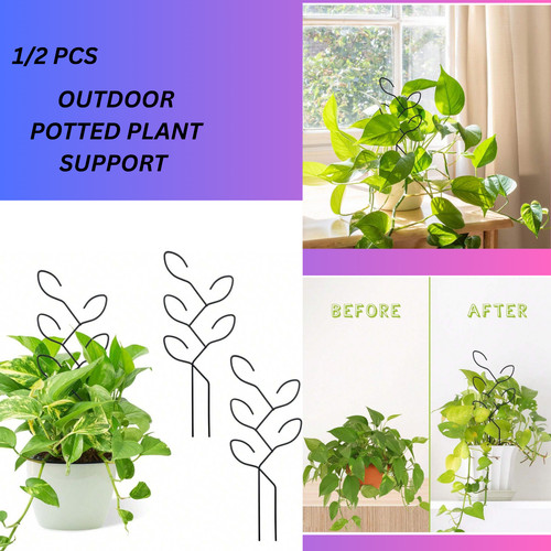 Climbing rack outdoor potted - outdoor,