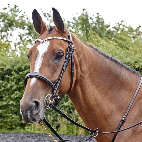 Whitaker lynton snaffle bridle - lynton,