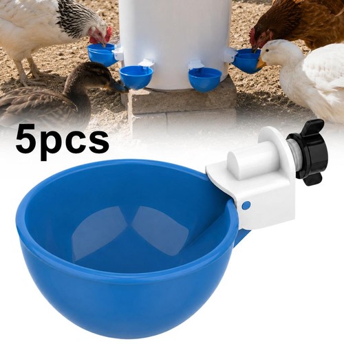 Blue automatic chicken - blue,