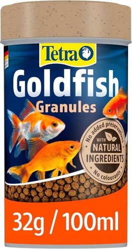 Tetra goldfish fish - tetra,