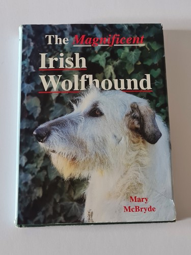 The magnificent irish - magnificent,