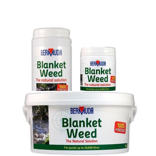 Bermuda blanketweed pond water - bermuda,