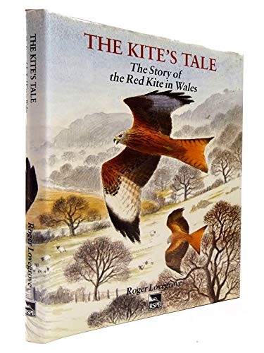 The kite tale story of - the,