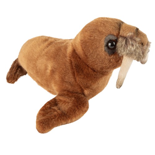 Walrus soft toy arctic - walrus,