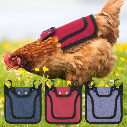 Chicken protection back wing - chicken,