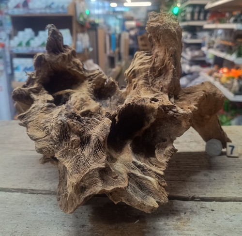 Derwen oak bogwood - oak,