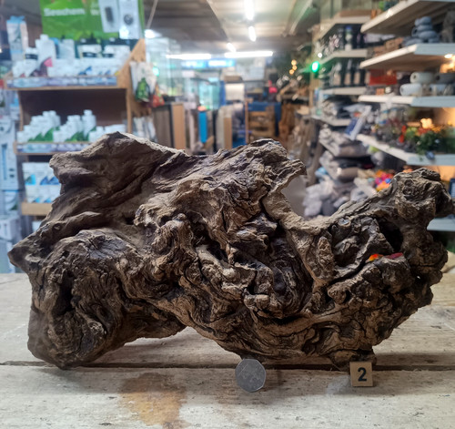 Gnarly scapers wood aquarium - wood,