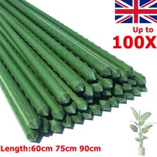 Plant Support Stake Plastic