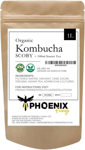 Phoenix fungi kombucha - phoenix,