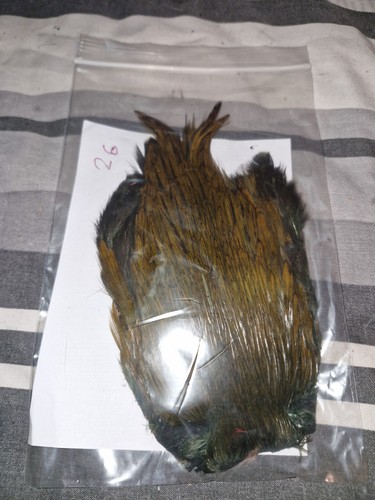 Cock cape fly - cock, cape,fly