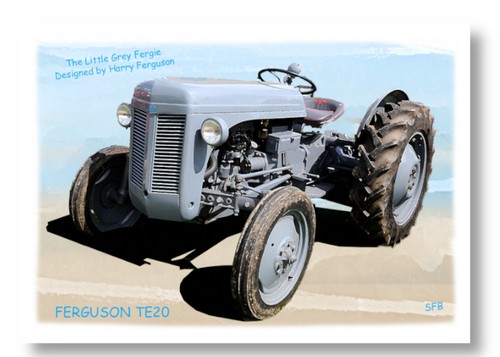 Ferguson te20 little grey - ferguson,