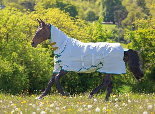 Shires tempest plus sweet itch - tempest,