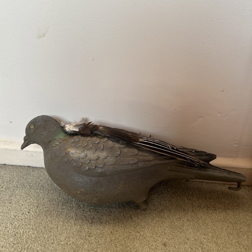 Plastic woodpigeon decoys - woodpigeon,