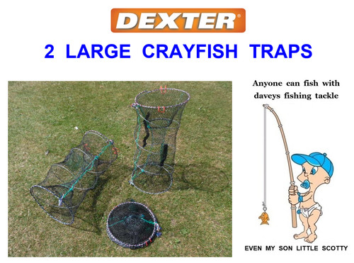 Large dexter crayfish - 2,