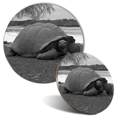 Mouse mat coaster - mat, set