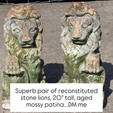 Fantastic Pair of Lions