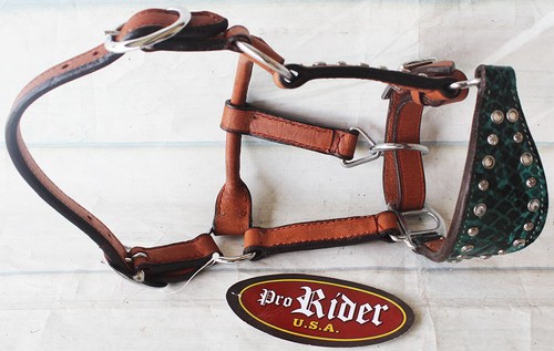Horse noseband tack - noseband, leather