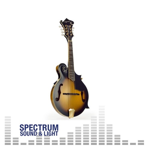 Ozark mandolin electro - 'f',