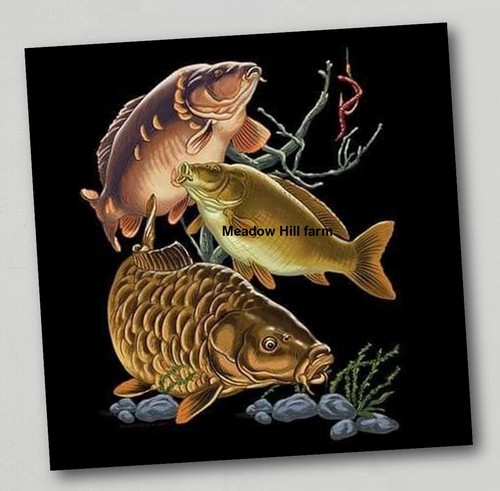 Fridge magnet common mirror - common, /
