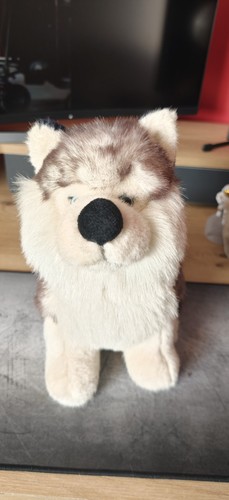Cute plush husky dog - husky, toy