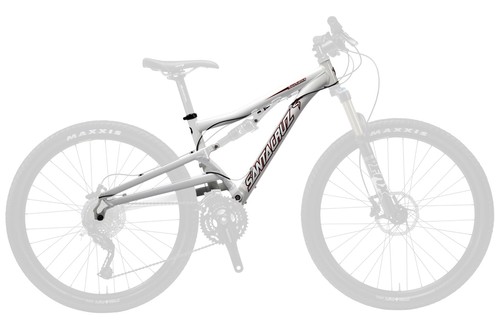 Frame pivot bearing kit - bearing, |