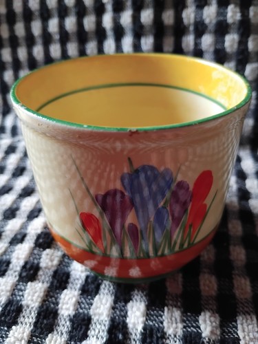 Clarice cliff crocus fern pot - fern,