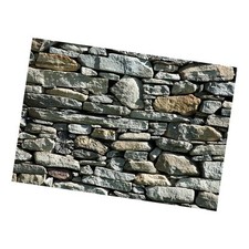 Single-Sided  Aquarium Background Backdrop Fish Reptile Terrarium Vivarium