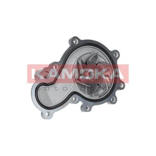 Water pump kamoka - water, t0075