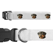 'Rottweiler Dog Portrait' Dog