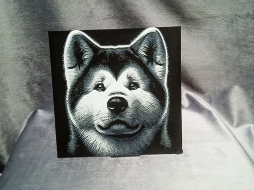 Akita inu dog - akita,