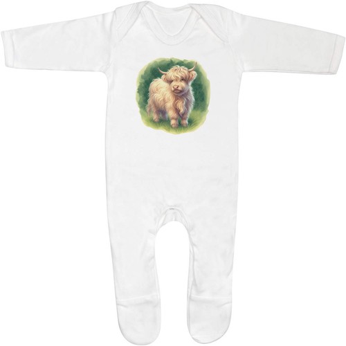 Cute baby highland - highland,