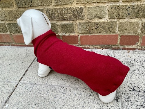 Miniature dachshund 100 wool - miniature,