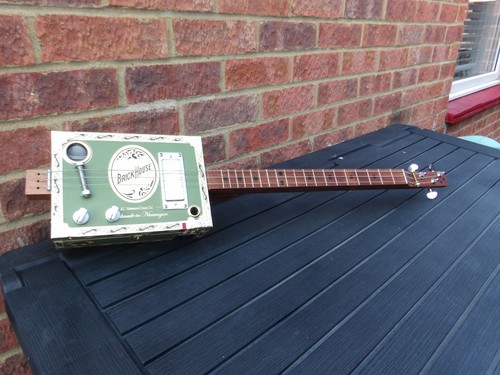 String homemade fretted - 3,