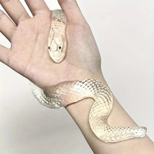 Squishy Stretch Snake Toy –