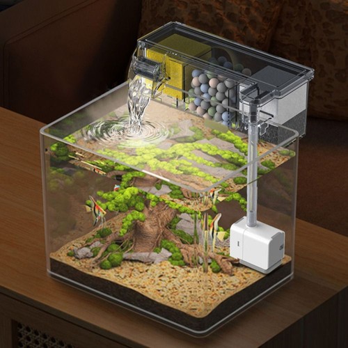 Built fish tank wall - fish,