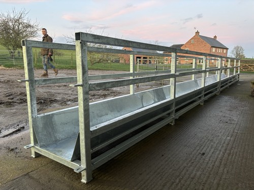 Walk through sheep feeders - walk,