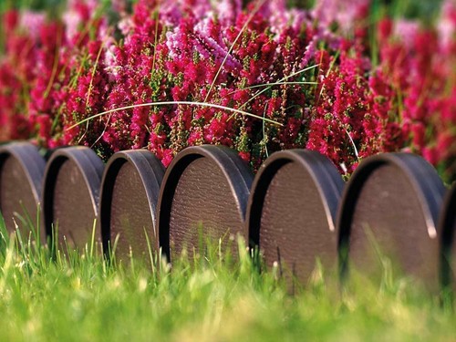 Plastic garden fence 10m - plastic,