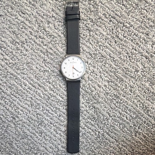 Skagen skw6024 quartz analog - skw6024,