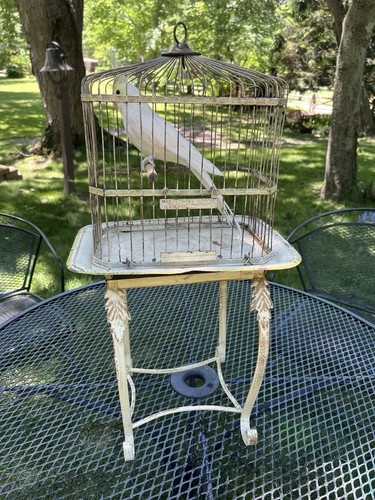 Vintage hendryx bird cage - vintage,
