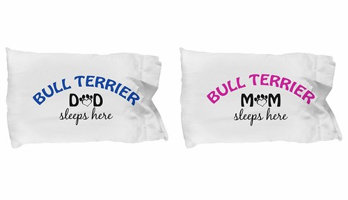 Bull terrier mom and - terrier,