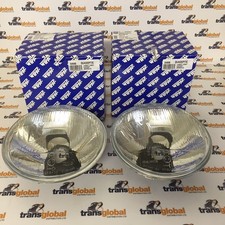 Quadoptic Halogen Headlamp