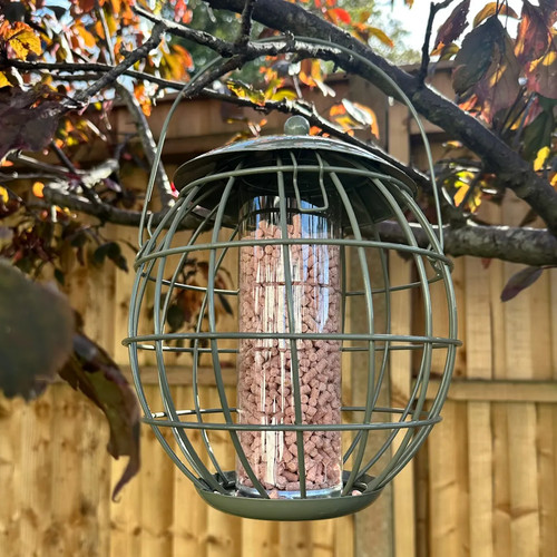 Round metal squirrel - squirrel, proof