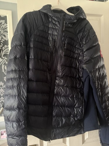 Canada goose men - canada, dark