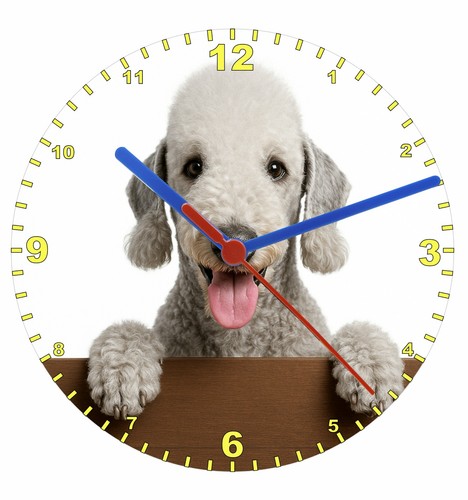 Quartz clock bedlington - clock,,